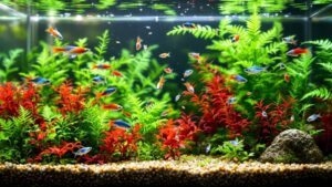 Beginner-Friendly Breeders